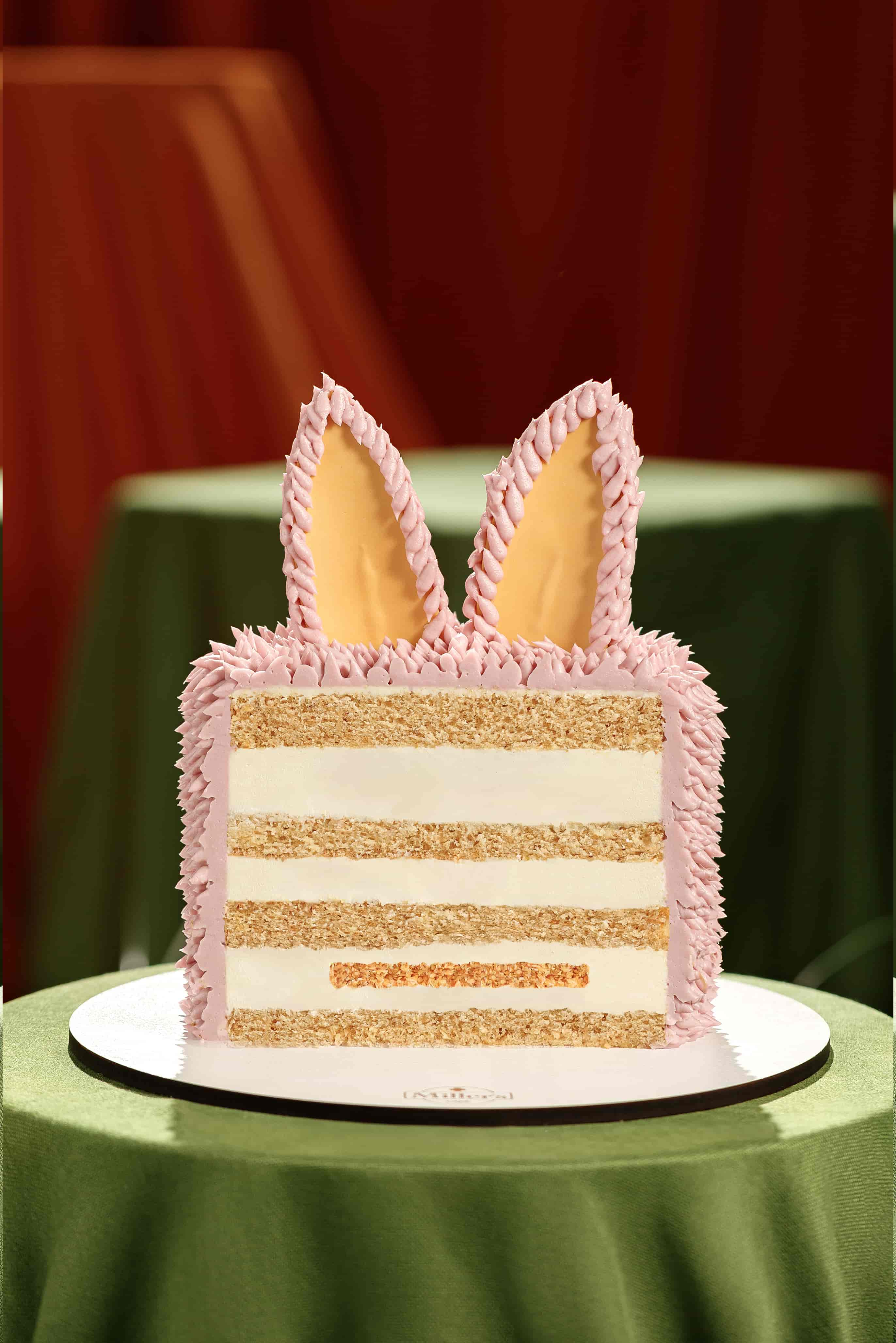 Cute Fuzzy Bunny Cake 2