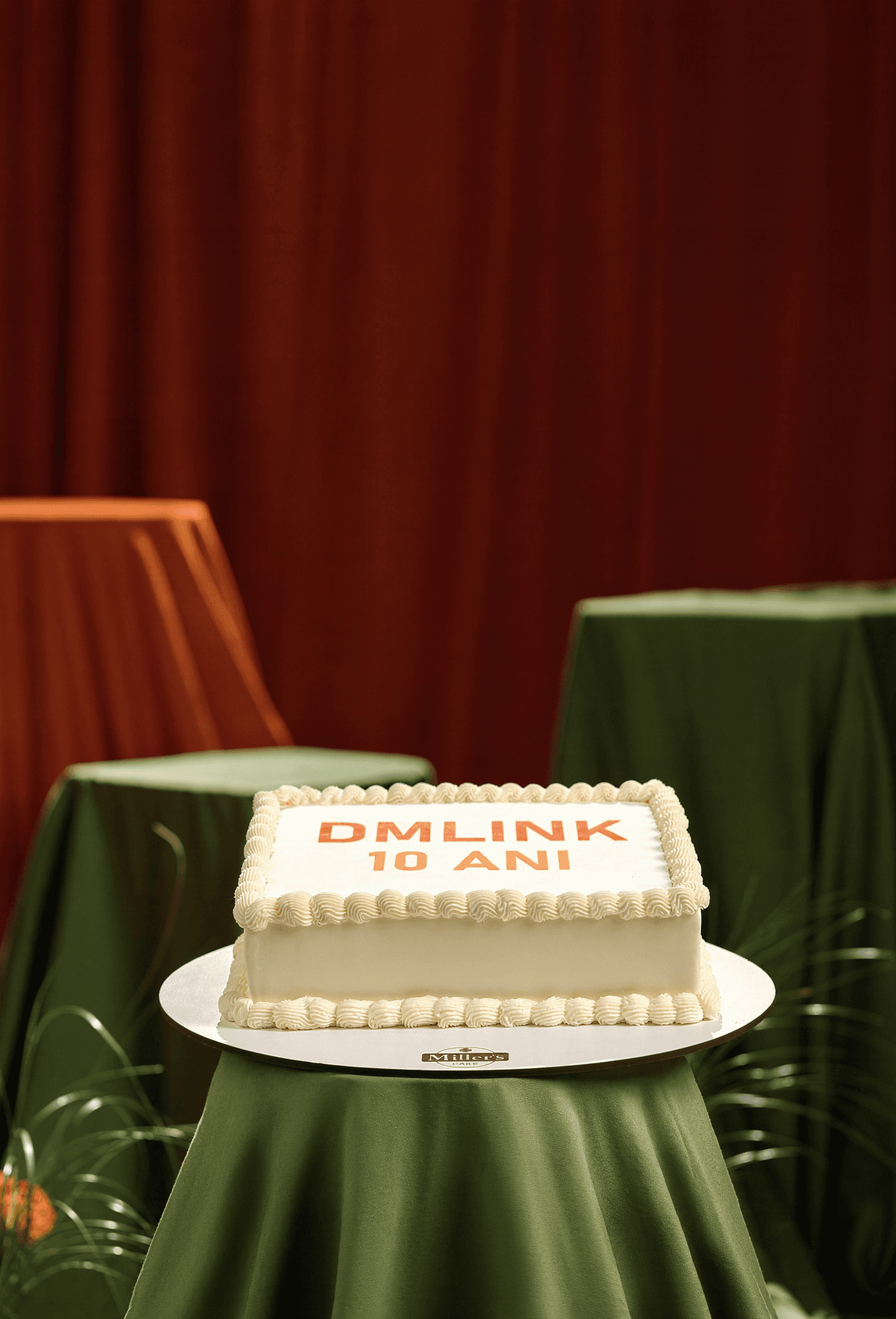 D-Link 10th Anniversary Celebration Cake