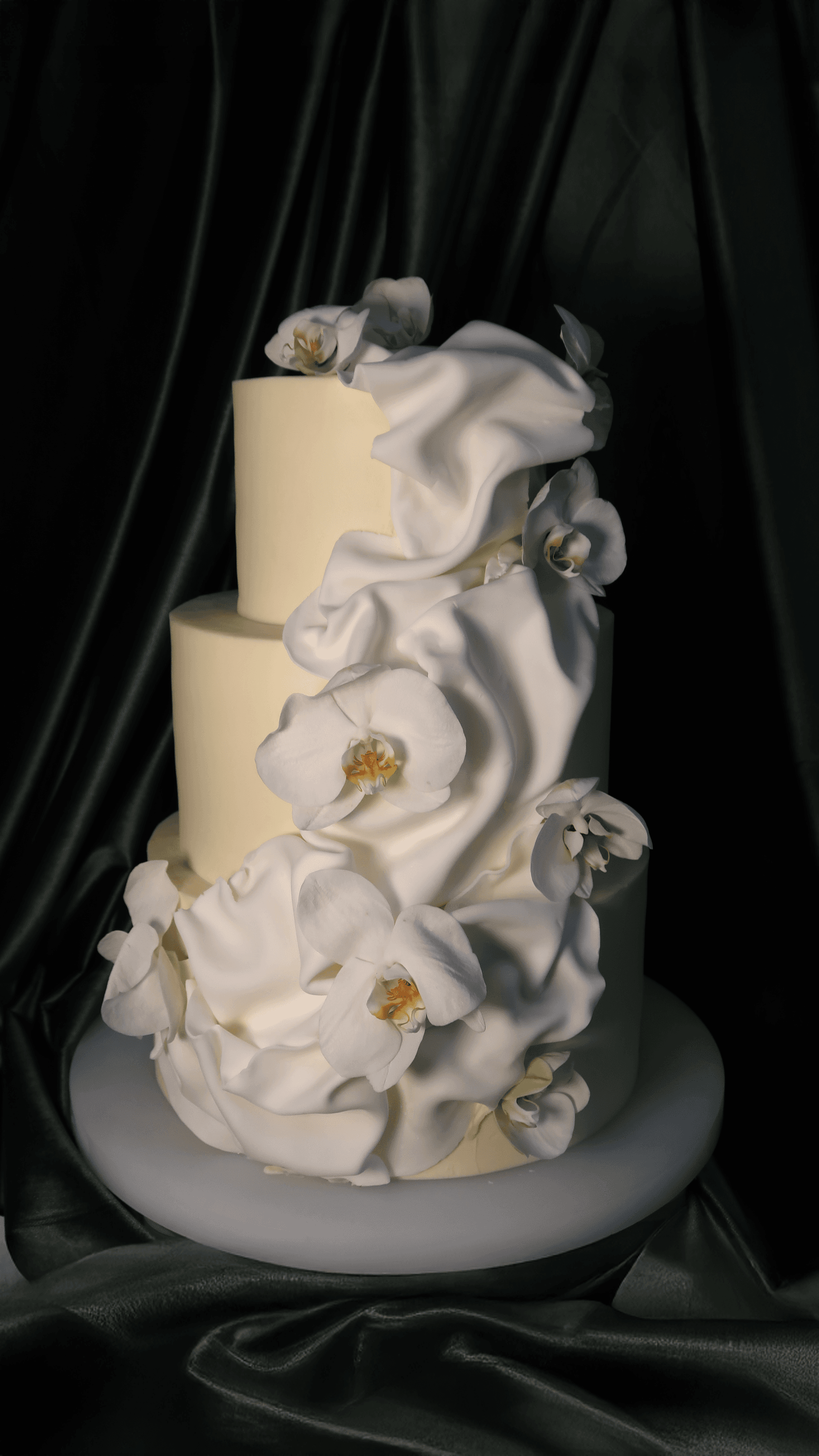 A Floral Symphony of Orchids