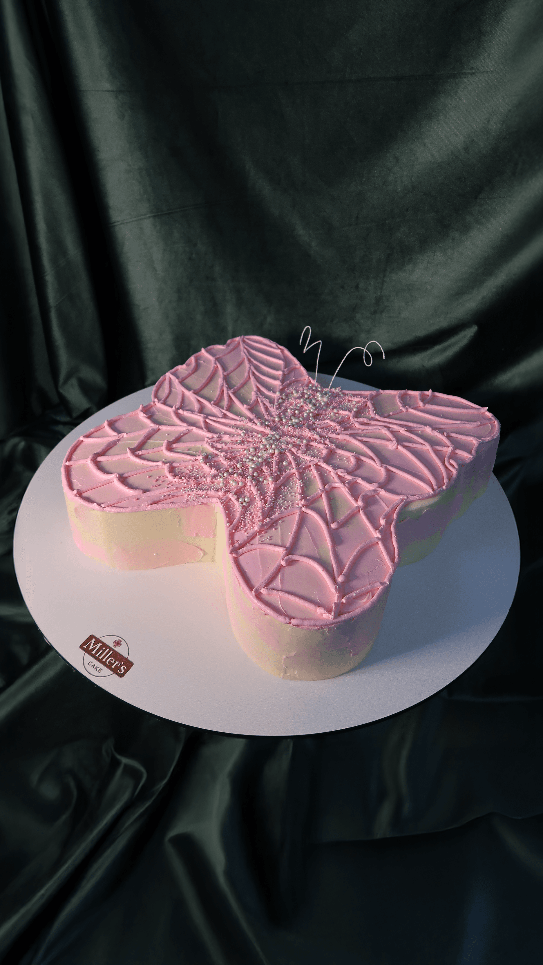 Little Butterfly’s Pink Dream