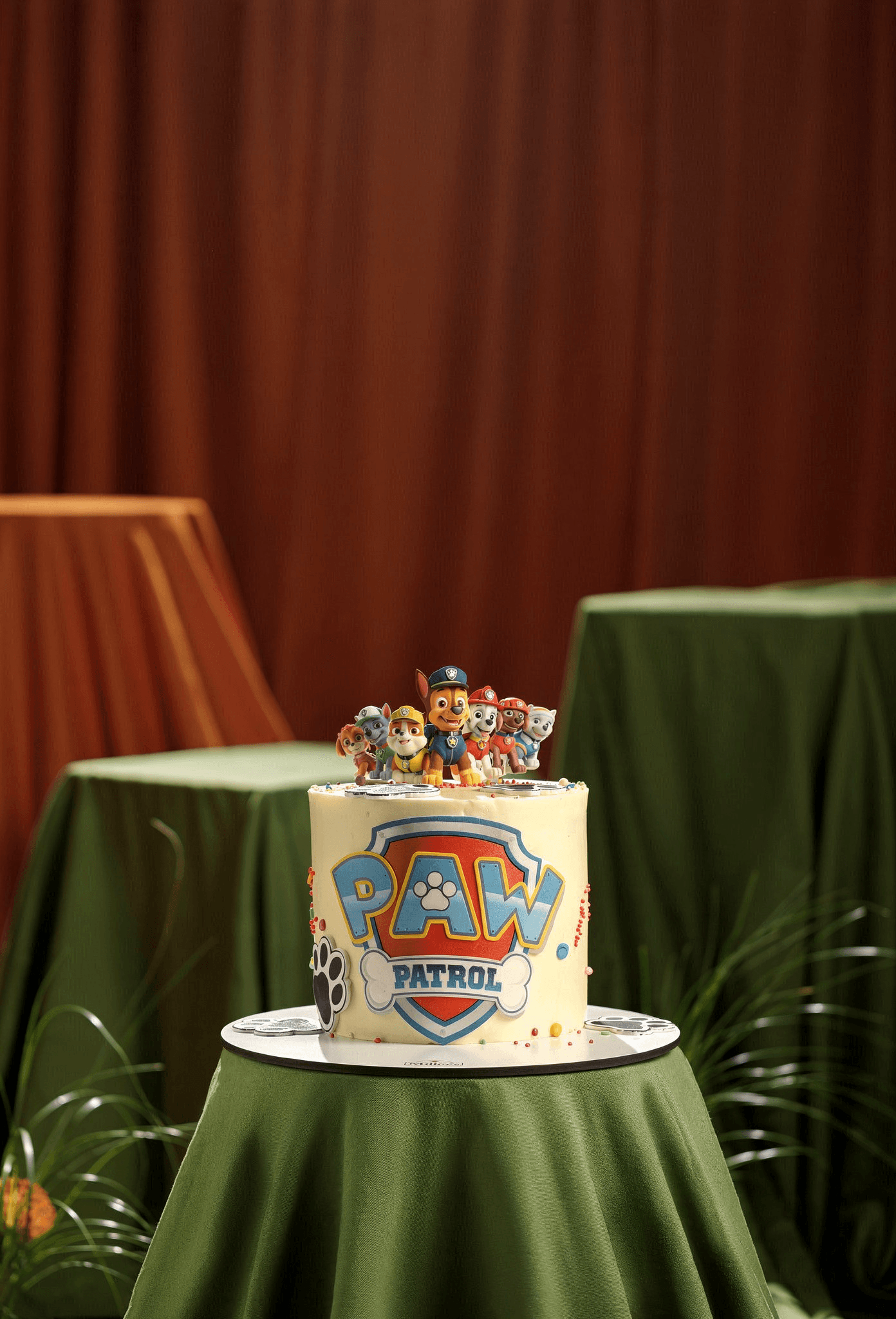 Paw Patrol Adventure Birthday Cake