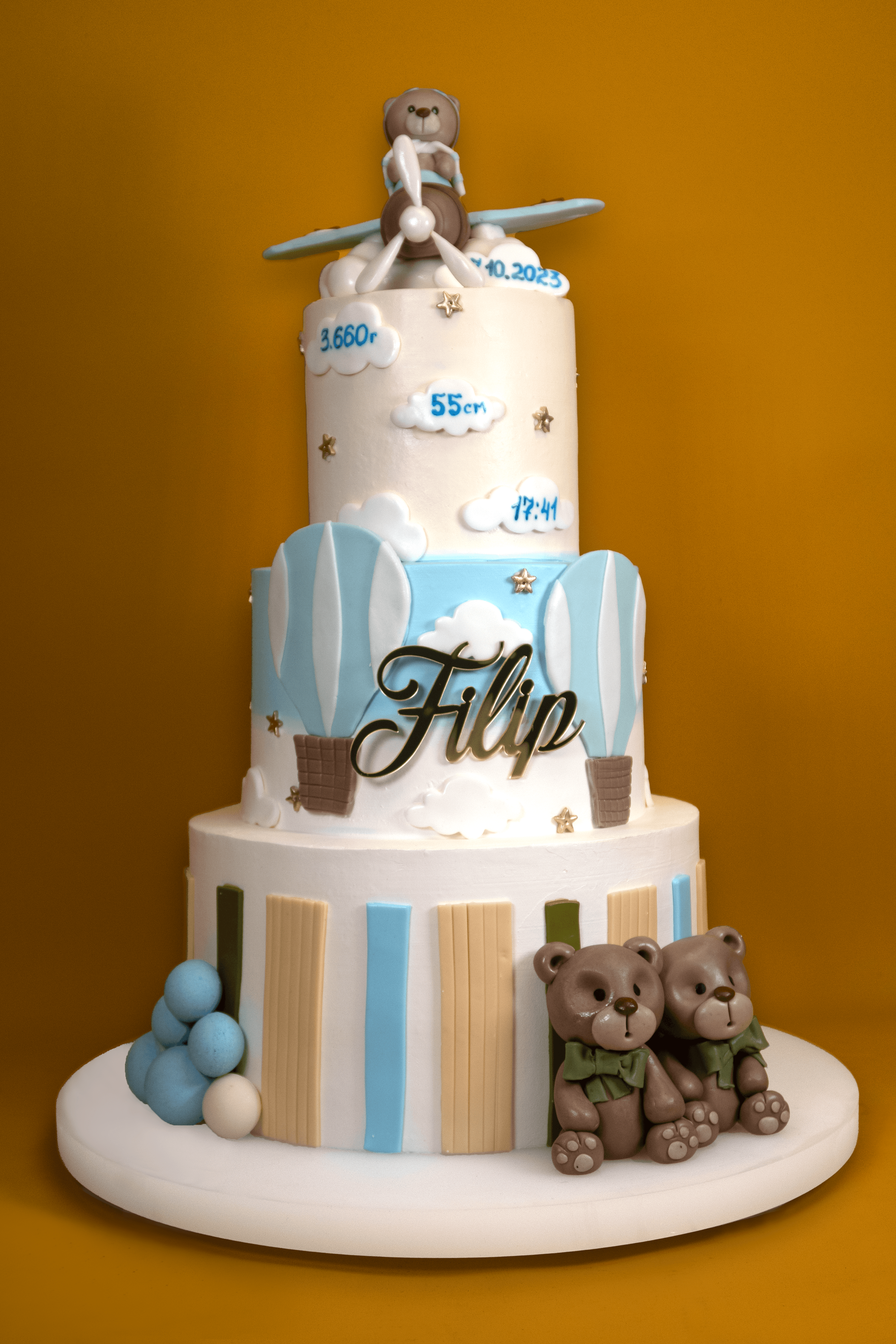 Little Aviator Delight