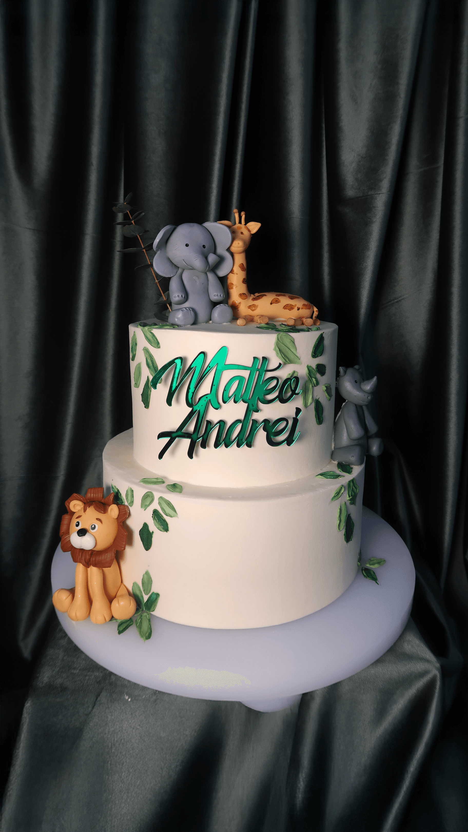 Wild Wonders Cake